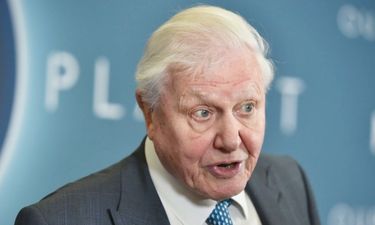 “Act now” – David Attenborough issues stark warning on climate emergency