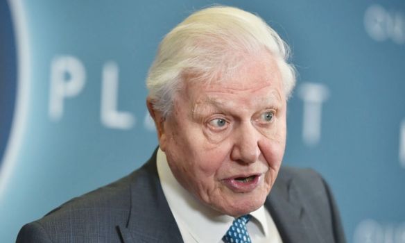 David Attenborough climate change