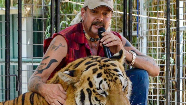 Tiger King 2 Trailer