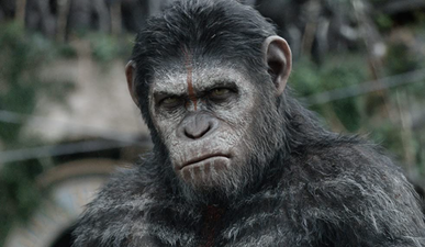The best of the recent Planet of the Apes trilogy is among the movies on TV tonight