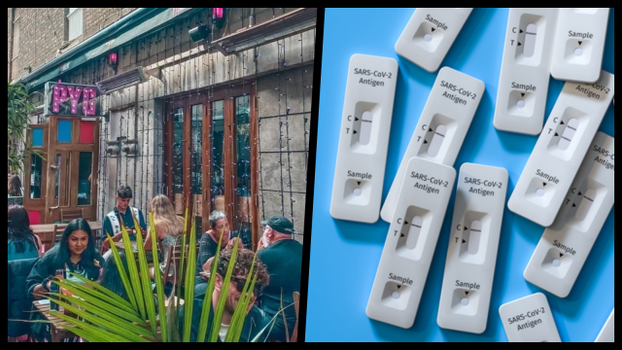 Pygmalion Dublin free antigen tests