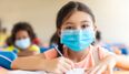 Children will not be excluded from school for not wearing a mask – report