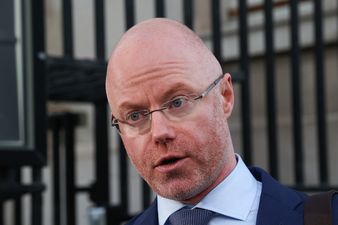 Health Minister says online portal for registering antigen tests open to “a bit of play-acting”