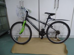 Gardaí appealing for information surrounding bike connected with murder of Ashling Murphy