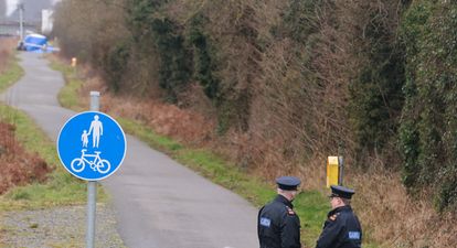 Murphy family requests “privacy, space and time” to process Ashling’s death