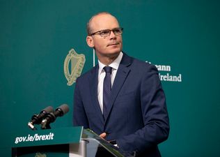 Coveney to be invited to appear before committee over champagne celebration