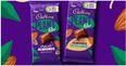 Cadbury Ireland releases its first vegan chocolate bar – Cadbury Plant Bar