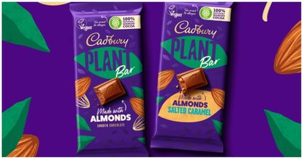 Cadbury Ireland releases its first vegan chocolate bar – Cadbury Plant Bar