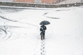 Met Éireann extends Status Red warnings to more counties over Storm Eunice