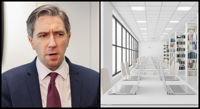 New University Ireland