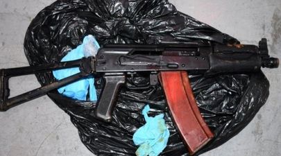 Guns, MDMA, ketamine and LSD seized by Gardaí in Wicklow raid
