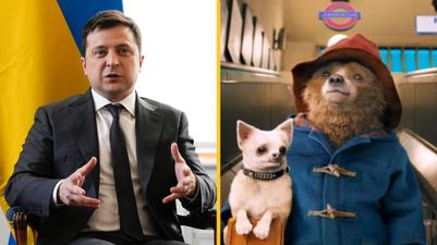 People are discovering Ukrainian President Zelensky voiced Paddington Bear