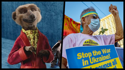 Compare The Market removes meerkat ads from TV following invasion of Ukraine