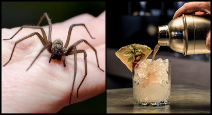 Spider in takeaway cocktail among thousands of complaints received by Food Safety Authority in 2021