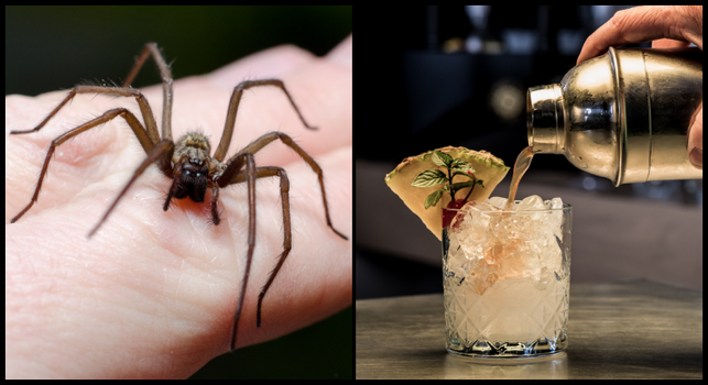 Food complaints Ireland 2021 spider cocktail