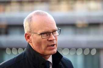 Coveney accuses UK Government of ignoring Ireland’s concerns over US-style visas to enter Northern Ireland