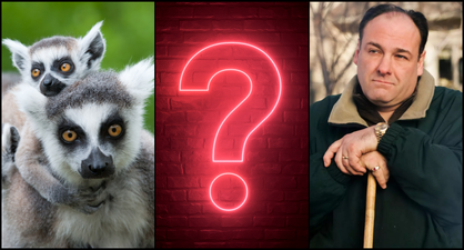 QUIZ: Top marks is very tricky to get in this General Knowledge quiz