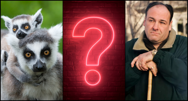 general knowledge quiz