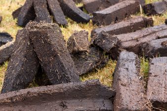 Failure to fully ban turf sales “could cost lives”, say public health organisations