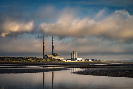 dolphin vandalised dublin