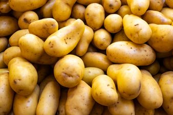 Met Éireann issue warning for potato blight this week
