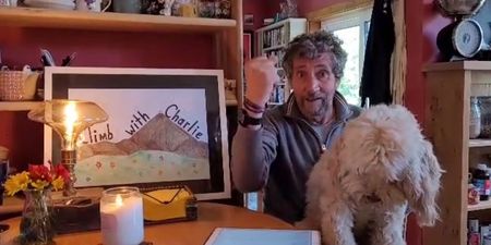 Charlie Bird hoping to do parachute jump with Mick McCarthy for charity