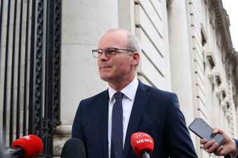 Coveney “hugely disappointed” by UK Government approach to NI Protocol