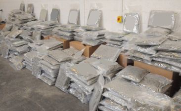 Nearly €7 million worth of cannabis seized in Kilkenny
