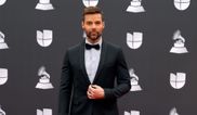 Ricky Martin shuts down claims of incest and domestic violence after restraining order