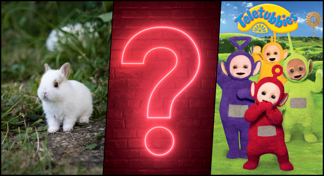 General knowledge quiz