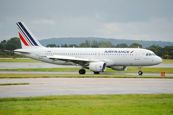 Two Air France pilots suspended after fistfight in cockpit following takeoff