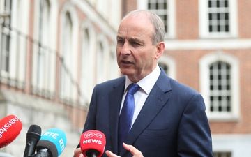 Fianna Fáil councillor issues apology over comments about Travellers