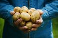 Ahead of National Potato Day, here are 3 reasons to celebrate our nation’s beloved spud