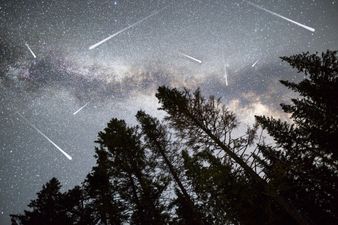 Meteor shower to be visible over Ireland tomorrow