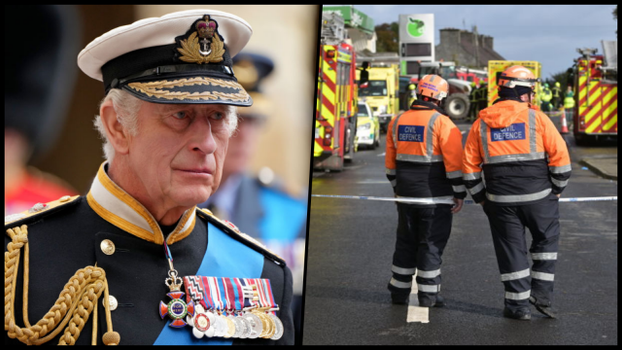 King Charles Donegal