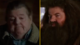 Touching footage of Robbie Coltrane discussing the Harry Potter series goes viral