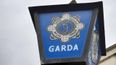 Garda in critical condition following road crash in Cork