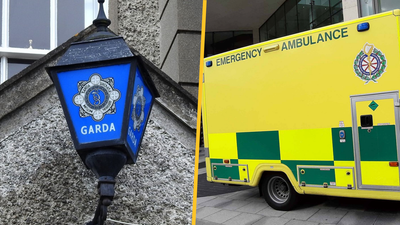 Boy seriously injured after alleged dog attack in Wexford