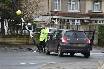 Junior doctor ‘fell asleep’ at the wheel after 12-hour shift then mowed down two women and two kids