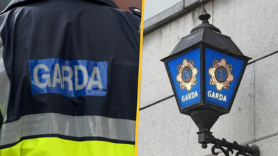Woman arrested in connection with dog attack in Wexford that left child seriously injured