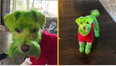 Woman sparks controversy by dyeing her dog green to make him look like the Grinch for Christmas