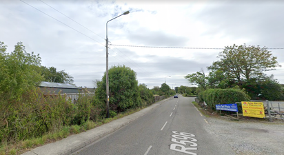 Investigation launched after body discovered on a path in Cork