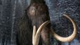 Company given $225 million to bring extinct animals back to life