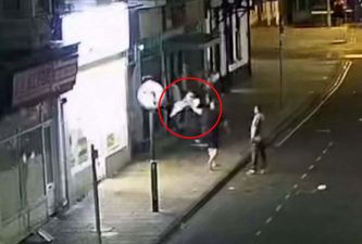 Boozed-up thug slams seagull against wall before launching it across the road
