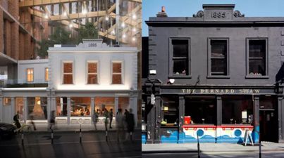 ‘I feel ill’ – There has been a strong reaction to the vision for old Bernard Shaw site