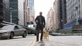 It has finally been explained how Will Smith will return for I Am Legend sequel