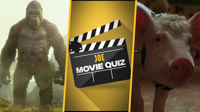 QUIZ: Can you name the movie from the animal?