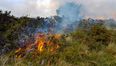 Firefighters battle to keep Cork and Kerry gorse fires under control