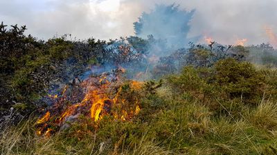 Firefighters battle to keep Cork and Kerry gorse fires under control