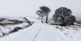 Snow warning issued for entire country as accumulations “expected in many areas”